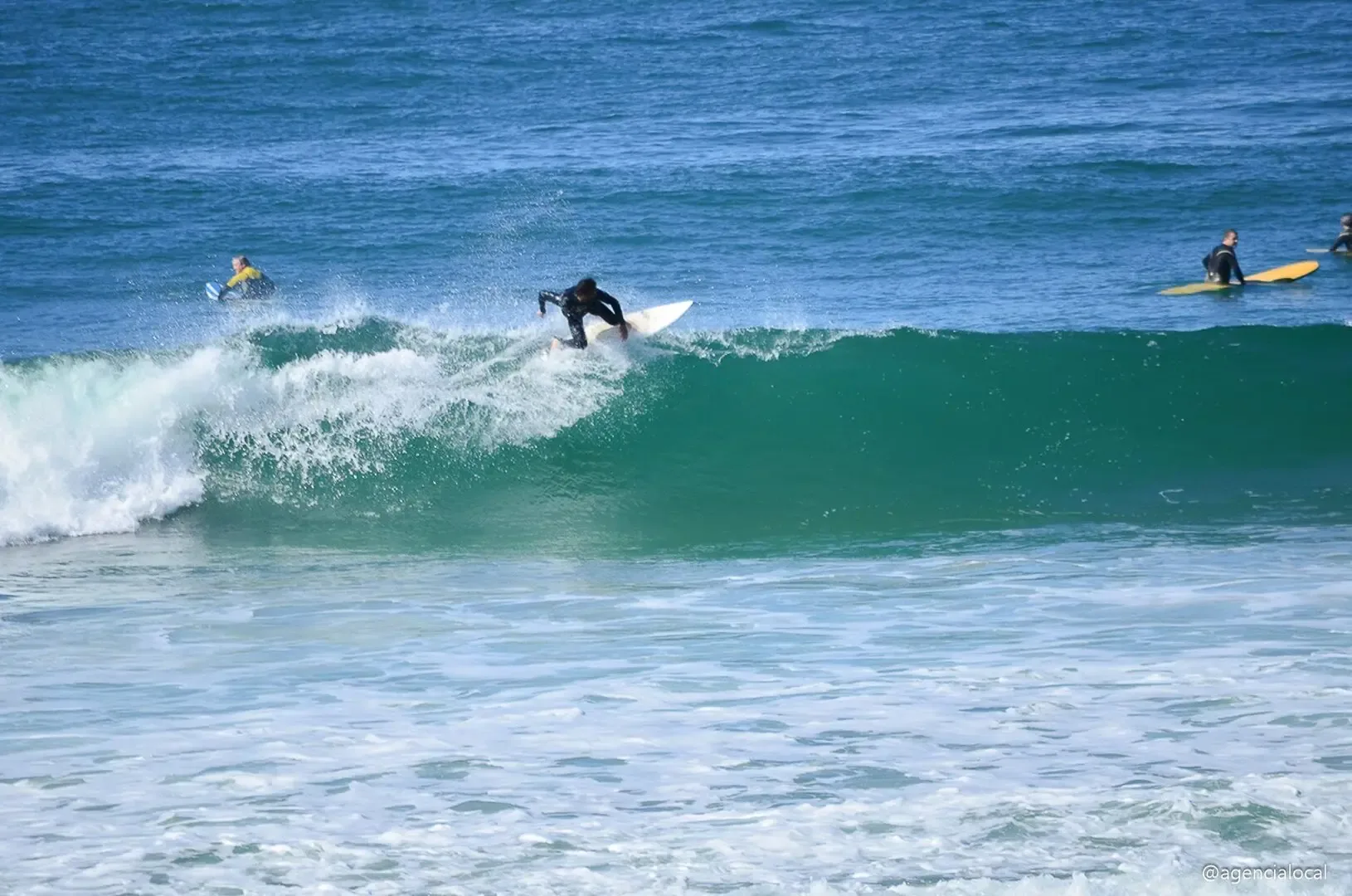 Surfista em manobra na onda da Praia do Rosa
